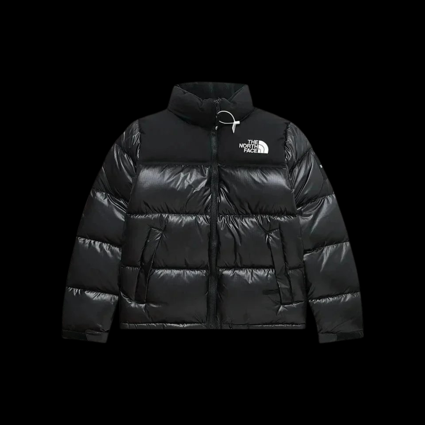 "TNF JACKET"
