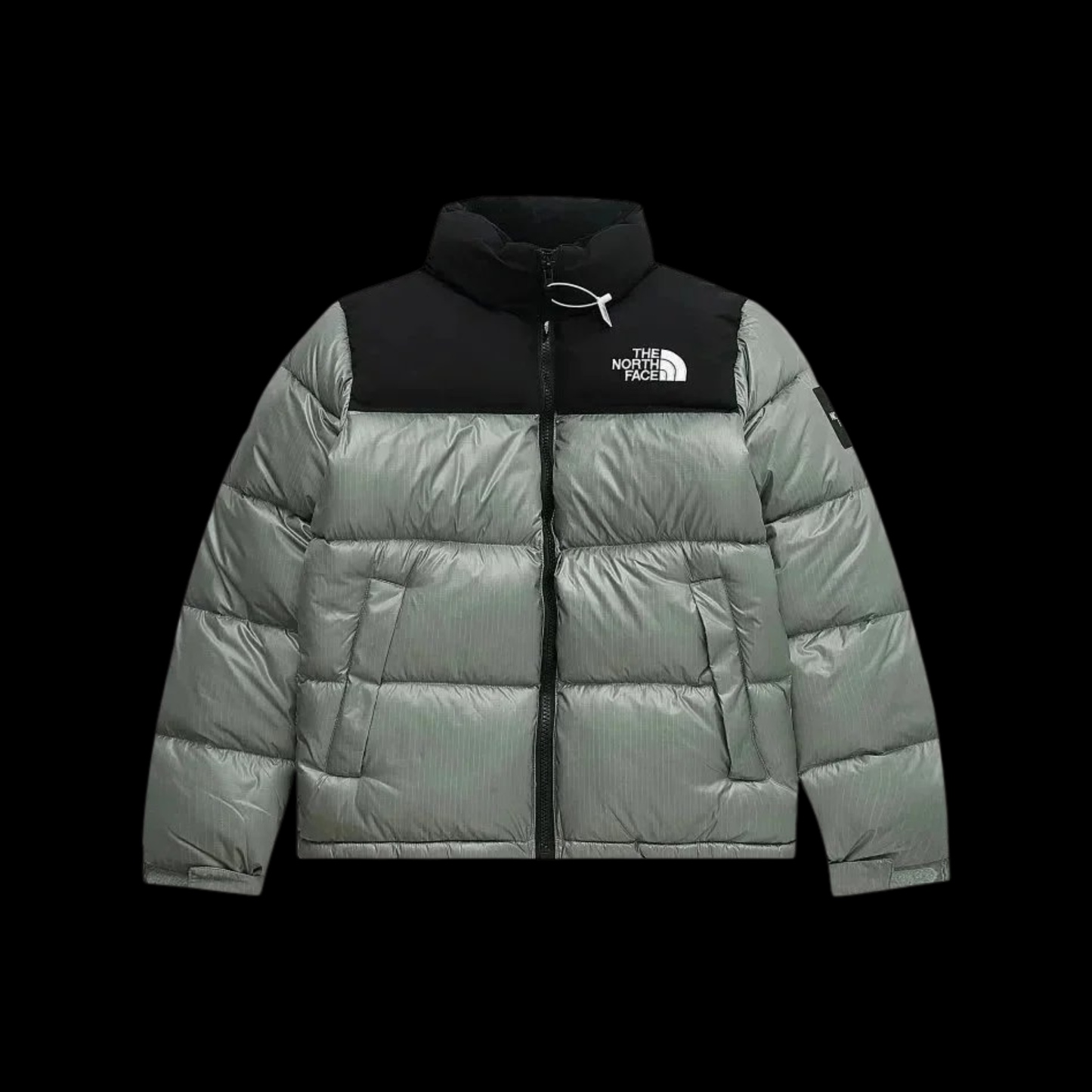 "TNF JACKET"
